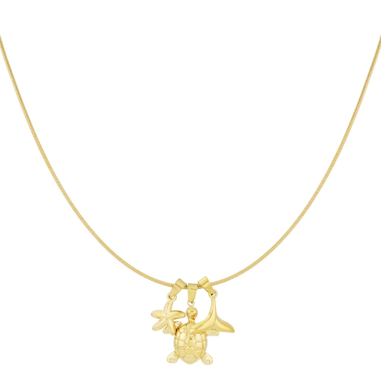 Meeres Kette